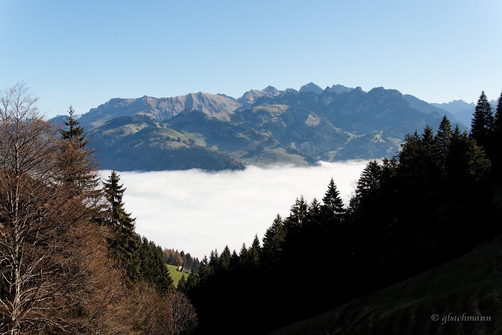 20081026_080